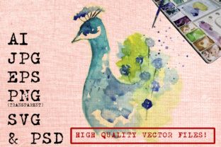 Blue Peacock Watercolor Review for Brand Graphics & Illustrations