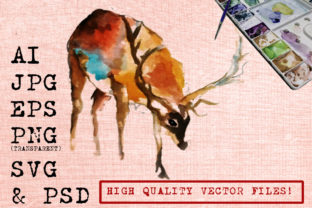 Deer Watercolor Graphics & Illustrations Review