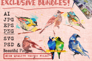 Watercolor Birds Set: Graphics & Illustrations Review